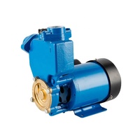 Pompe à eau périphérique intelligente RUIQI Factory DCHZ370 0.5hp/1hp 370W avec pressostat et débitmètre automatique