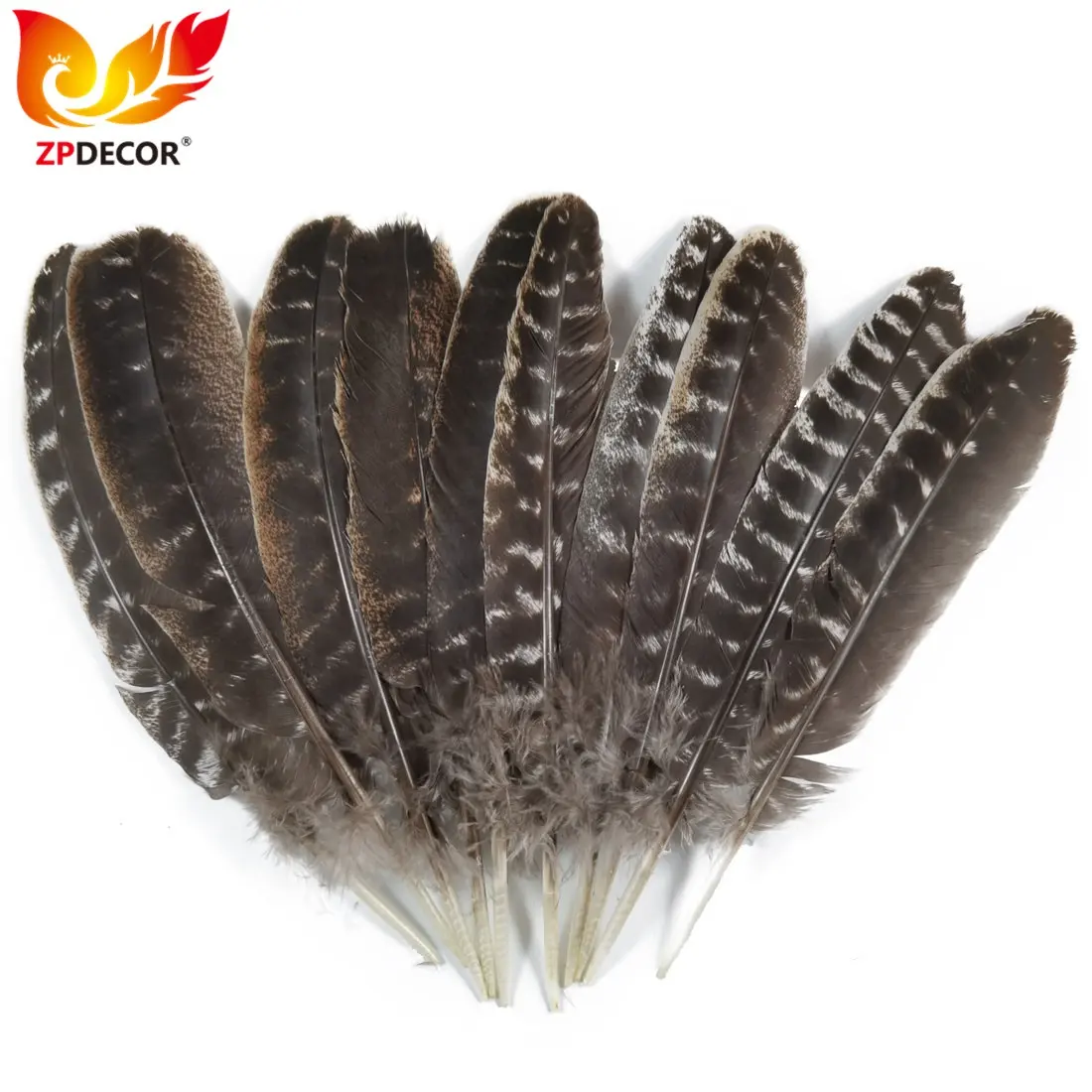 ZPDECOR फैक्टरी थोक स्टॉक प्राकृतिक जंगली तुर्की राउंड माध्यमिक विंग कलम पंख कार्निवल के लिए Customes