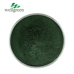Wellgreen 100% pigmen hijau alami bubuk Sodium tembaga klorofil