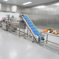 Industriële vibrerende gemotoriseerde aardappel- en groentewasmachine met droogfunctie voor fruit en maïs