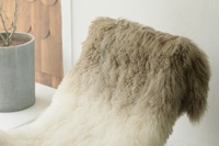 Couverture décorative en vraie peluche royale blanche pour lapin Rex, assiette en fourrure de lapin Rex