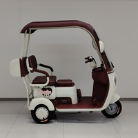 Nouveau tricycle électrique pour adultes en vente