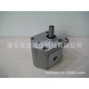 Bomba de Engranajes Bidireccional CBS Modelo E304/306/308/310/314/316/320/325-CLP Nueva Condición - Product Image 2