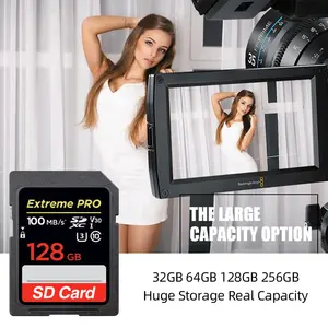 2024 Wholesales Memory Cards Extreme Pro SD Memory Card 200MBs 2GB 4GB 8GB 16GB 32GB 64GB 128GB 256GB 512GB 1TB 4K