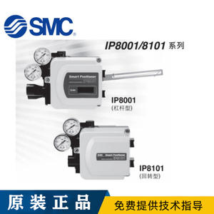 Positionneur de vanne de commande intelligent IP8101-004-W-3-X351 IP8101-032-CW Série IP8100-032-W - Product Image 1