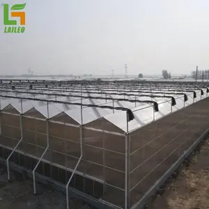 Yüksek teknoloji Pc levha Hydroponics çok açıklıklı tarımsal seralar akıllı kontrol