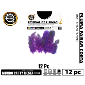 Short Faisan Feather Party Decoration Set 12 Piezas #40072 - Product Image 1