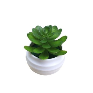 Macetas de Suculentas Artificiales de Plástico en Oferta, Decoración Linda para Centros de Mesa de Escritorio, Plantas Suculentas Artificiales - Product Image 6