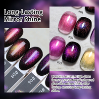 Kit de vernis à ongles gel effet œil de chat Hema TPO Free Formula Galaxy Shimmer, vernis à ongles gel magnétique effet œil de chat Aurora personnalisable pour salon de manucure