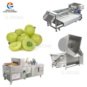 Suitable for fruit processing plants emblic leafflower sorting grader Apricot Seeder Phyllanthus emblica pitter machine