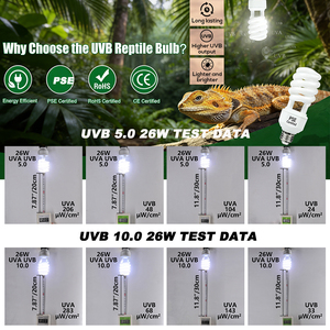 Lampada UV Compatta Fluorescente 13W 26W E26 E27 per Rettili, UVA+UVB, Integratore di Calcio, Vitamina D3, Lampada UV per Tartarughe e Draghi - Product Image 6
