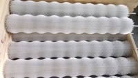 Brosse à rouleaux en nylon de taille personnalisée pour machine à nettoyer les œufs