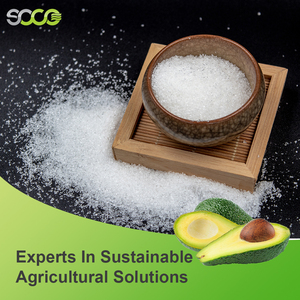 Trasplantar plántulas <span class=keywords><strong>de</strong></span> <span class=keywords><strong>aguacate</strong></span> mejora la tasa <span class=keywords><strong>de</strong></span> supervivencia y estabiliza el suministro <span class=keywords><strong>de</strong></span> agua polímero superabsorbente agrícola - Product Image 3