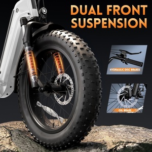 Vélo <span class=keywords><strong>Cargo</strong></span> Électrique 250W 48V 15Ah avec Porte-Bagages Arrière, Expédition Rapide depuis l'Entrepôt UE, Certifié EN15194 - Product Image 5