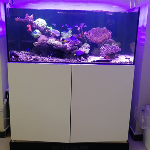 Landen <span class=keywords><strong>Rm</strong></span> Serie Glazen Bodem <span class=keywords><strong>Aquarium</strong></span> Filter Zeevissen & Koraal Tank Voor Zoetwater Zoutwater Woonkamer Geschikte Doos Verpakt - Product Image 3