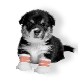 Chaussettes respirantes réglables pour la marche en plein air <span class=keywords><strong>protection</strong></span> imperméable pour les pattes d'animaux couvre-pieds pour chiens chaussures bottes - Product Image 1