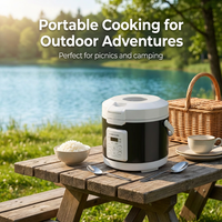 Cuisinière à riz électrique portable 12V/24V 3L, minuterie numérique et maintien au chaud, pour voiture, camion, camping-car, camping en plein air (certifié CE)
