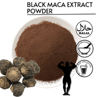 Poudre de Maca noire de haute qualité pour hommes, Macamide 0,6%, extrait de racine de Maca noire en poudre