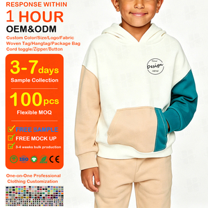 Wholesale Custom Loose Fit Children Hooded Sweatshirt Youth Heavyweight 100% Cotton French Terry Color Block <b>Hoodies</b> Kids - Product Image 1