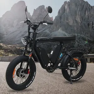 GPS-Elektrofahrrad 48 V 20 Aah 20 Räder Größe Elektro-Mountainbike Dicke Reifen E-Bike 1000 W Elektro-Hybrid-Fad mit Doppelmotor