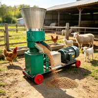 Machine à granulés d'aliments en acier au carbone abordable 220V 380V, moulin à granulés économe en énergie