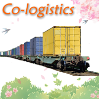 Agent logistique DDP fiable offrant des services d'expédition maritime et aérienne porte-à-porte avec assurance, taxes payées, depuis la Chine vers le monde entier (15-35 jours)