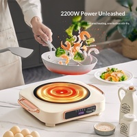 Mini-cuisinière électrique en céramique OEM personnalisée pour la maison, cuisinière à thé compacte, vente en gros d'usine, plaque à induction étanche sans minuterie