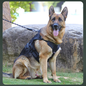 Pettorina Tattica per Cani in Nylon Traspirante a Righe, Anti-Trazione, con Impugnatura in Gomma Migliorata, Pannello MOLLE, Cuciture Incrociate, Robusta per Addestramento Sportivo - Product Image 4