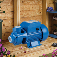 TECHNIC POWER 0.75HP QB70 0.55KW Pompe de jardin auto-amorçante Pompe à eau électrique Irrigation de surface