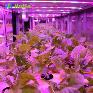 HUIFA 40 pies Hq contenedor inteligente seta sala de cultivo automático seta contenedor granja pequeña comercial seta granja - Product Image 3