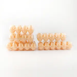 4/6/8/10/12/15/20/30 egg trays Transparent disposable egg packaging box tray plastic thickened egg box blister