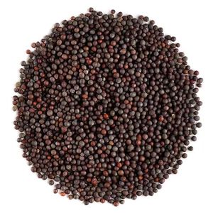 Huaran Bán Buôn Mù Tạt Đen Gia Vị Và Gia Vị Mù Tạt Hạt Giá Rẻ Đen Mù Tạt Hạt Giống - Product Image 1