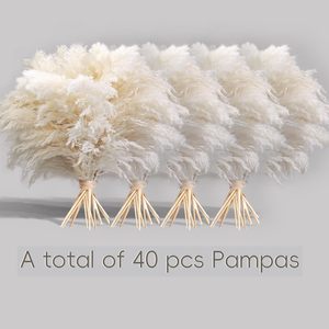 G25 Decoración para el Hogar, Ramo de Flores de Pampa Natural de 55 cm, Caja de Cartón de Larga Duración, Decoración para el Día de la Madre, Bodas, Pascua, Navidad - Product Image 2