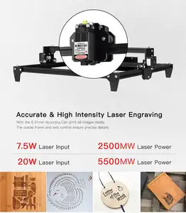 MI-HO Ce Fcc Rohs Columbia Diy Lazer Graveur TT-5.5 Lasersnijden En Laser Graveren Machine 35 ~ 40W Hout mini Laser Pecker
