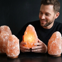 Lampe en sel rose de l'Himalaya de 2-3 kg, lampe en sel cristallin naturel sculptée à la main, base en bois, purificateur d'air, veilleuse