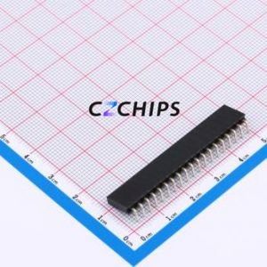 XDM254-1-19-W-8.5-G0 Pin Socket Bent Lead Through Hole,P=2.54mm Connector 1x19P 2.54mm Square Hole Right Angle Insert - Product Image 2