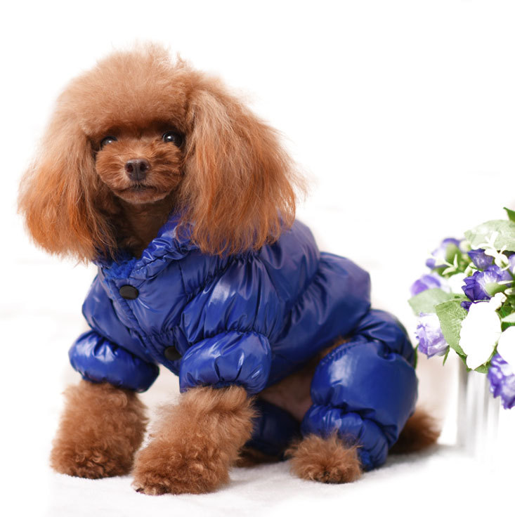 Factory Wholesale Luxury Pet Clothes Fashion Popular Dog Clothes Winter Pet Jacket For Puppy Teddy coat