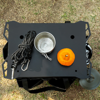 Table de camping pliable, boîte de rangement extérieure, organisateur multifonctionnel, planche d'extension, mobilier d'extérieur