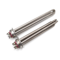 Élément Chauffant Électrique à Induction Tubulaire Tri-Clamp 220V 380V Triphasé 12KW SUS304 pour Chauffe-Eau