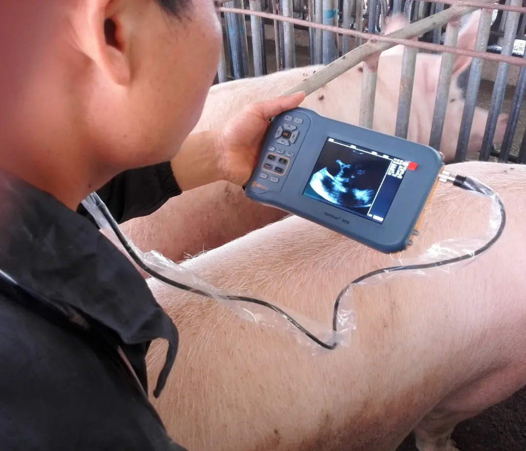 豚羊ヤギ用獣医用超音波スキャナ