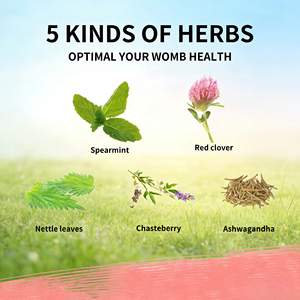 Thé OEM Équilibre Hormonal pour Femmes avec Gattilier et Ashwagandha – Favorise la Santé Menstruelle – 20 Sachets Naturels - Product Image 3