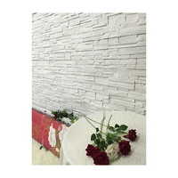 Panneau mural extérieur en pierre artificielle NEU 2026, luxe, PU, moderne, écologique, ignifuge, imperméable, résistant au froid