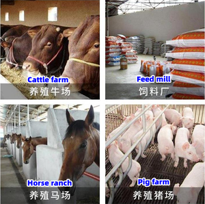 Poultry <strong>Cattle</strong> Sheep Horizontal Animal <strong>Feed</strong> <strong>Mixer</strong> Machine/horizontal <strong>Feed</strong> <strong>Mixer</strong> <strong>for</strong> <strong>Cattle</strong>/horizontal <strong>Feed</strong> <strong>Mixers</strong> <strong>for</strong> Sale - Product Image 4