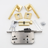 En gros, Ensemble de poignées de porte à levier modernes pour intérieur, avec serrure à mortaise et corps de serrure en alliage de zinc avec cylindre