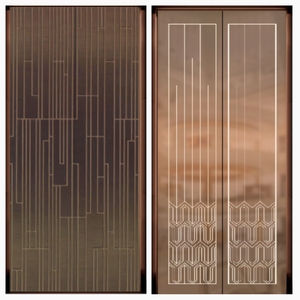 Ascenseurs de luxe pour villas et maisons, design doré, texture métallique, capacité 1000 kg, avec ARD - Product Image 2