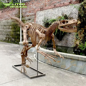 <span class=keywords><strong>Esqueleto</strong></span> <span class=keywords><strong>de</strong></span> <span class=keywords><strong>Velociraptor</strong></span> a Tamaño Real con Calidad <span class=keywords><strong>de</strong></span> Museo, Fósil <span class=keywords><strong>de</strong></span> Resina para Interiores, Centros Comerciales, Aeropuertos, Guarderías y Jardines <span class=keywords><strong>de</strong></span> Infancia - Product Image 2