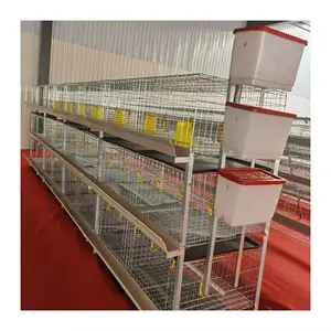 broiler chicken cage design broiler chicken cage system cages for broiler chicken