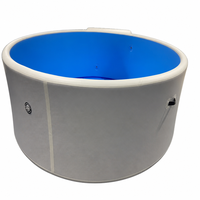 Maßgefertigter Runder Aufblasbarer Swimmingpool mit Leiter und Filter aus PVC-Material, Faltbares Design für den Heim- und Außenbereich
