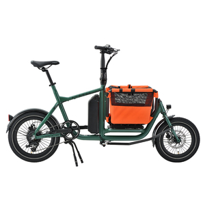 Bicicleta Eléctrica de Carga, Bicicleta Holandesa de 2 Ruedas, Bicicleta Familiar, Remolque Bakfiet, Disponible en Nuestro Almacén de la UE, Actualmente en Stock - Product Image 1