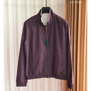 Giacca Invernale da Uomo Antivento Reversibile con Collo Alto, Moda Ecologica per Pendolari, Stile Casual Old Money con Logo Frontale - Product Image 1